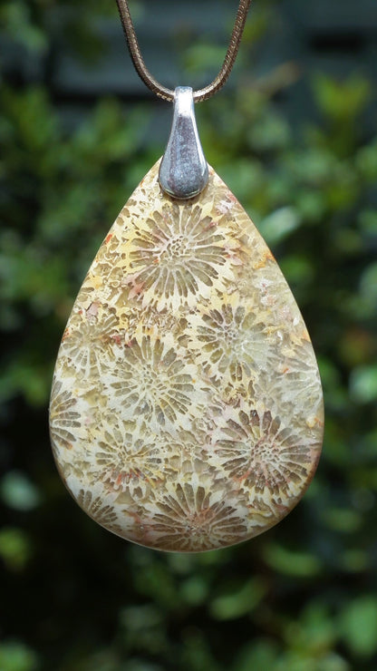 Agatised Fossile Coral with sterling silver bail