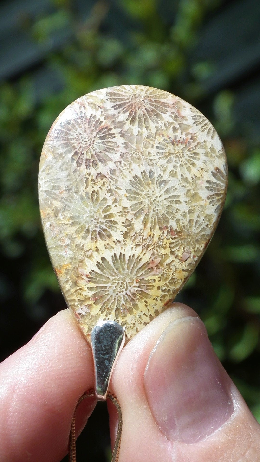 Agatised Fossile Coral with sterling silver bail