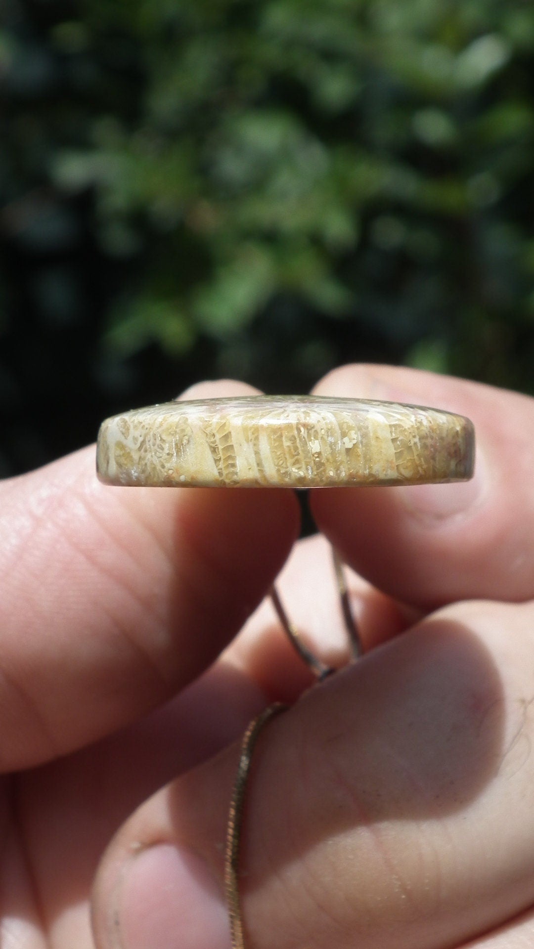 Agatised Fossile Coral with sterling silver bail