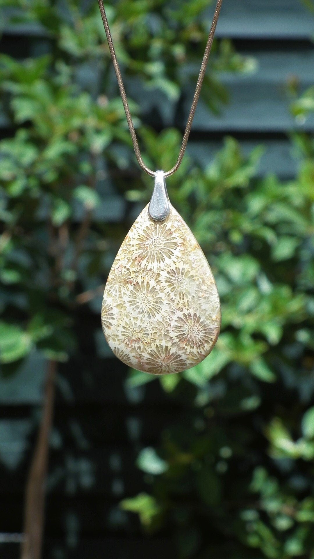 Agatised Fossile Coral with sterling silver bail