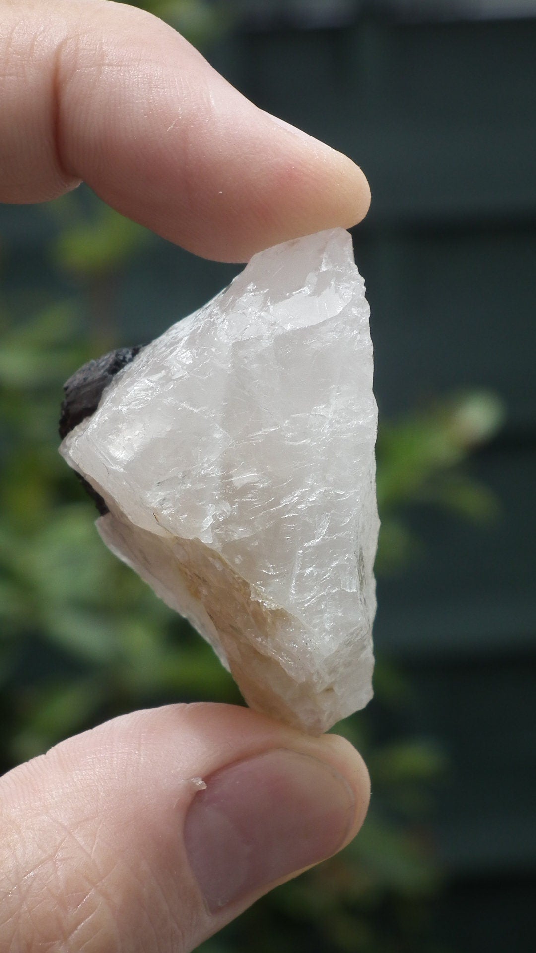 tourmalated quartz // tourmaline quartz // tourmaline crystal