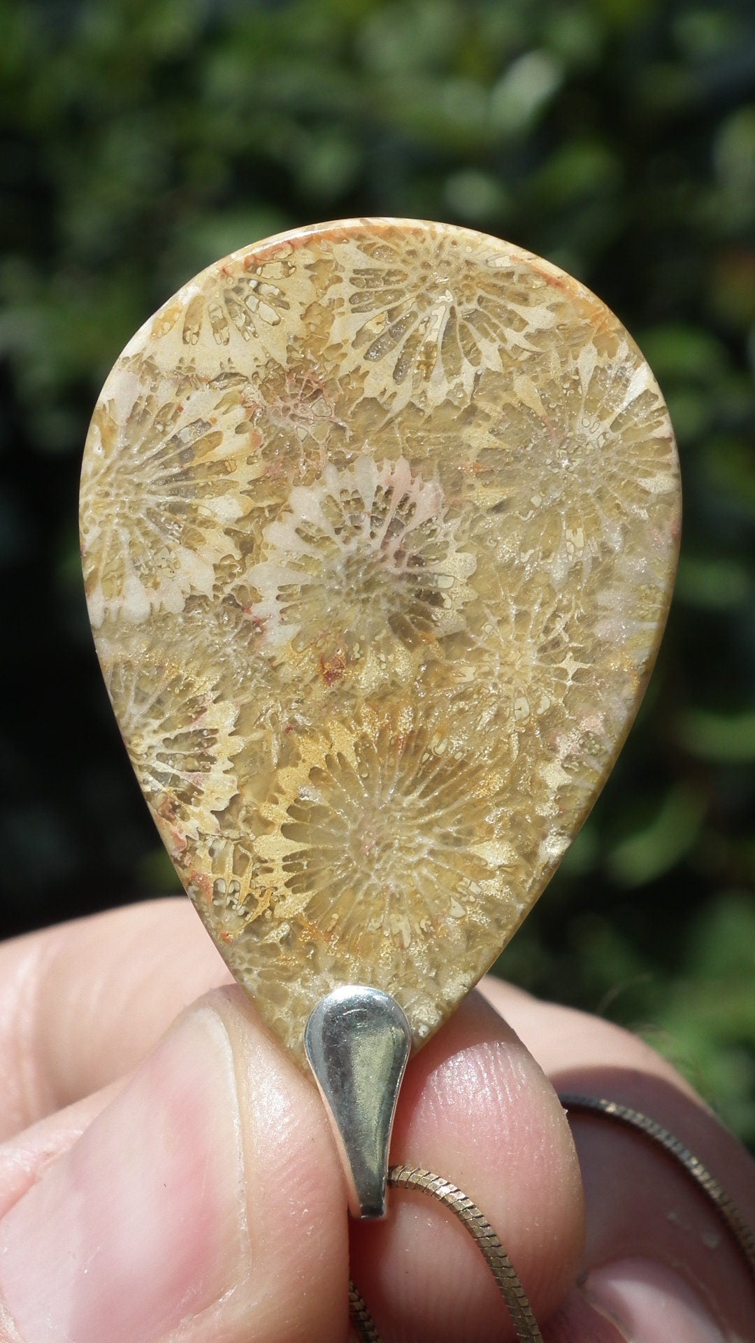 Agatised Fossile Coral with sterling silver bail