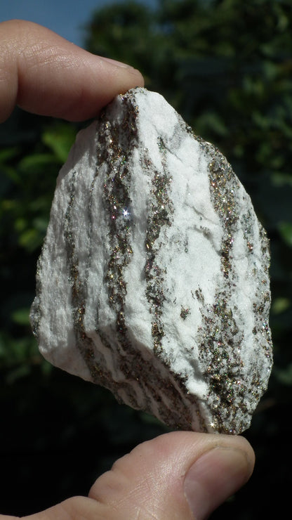 Pyrite in Snow Dolomite