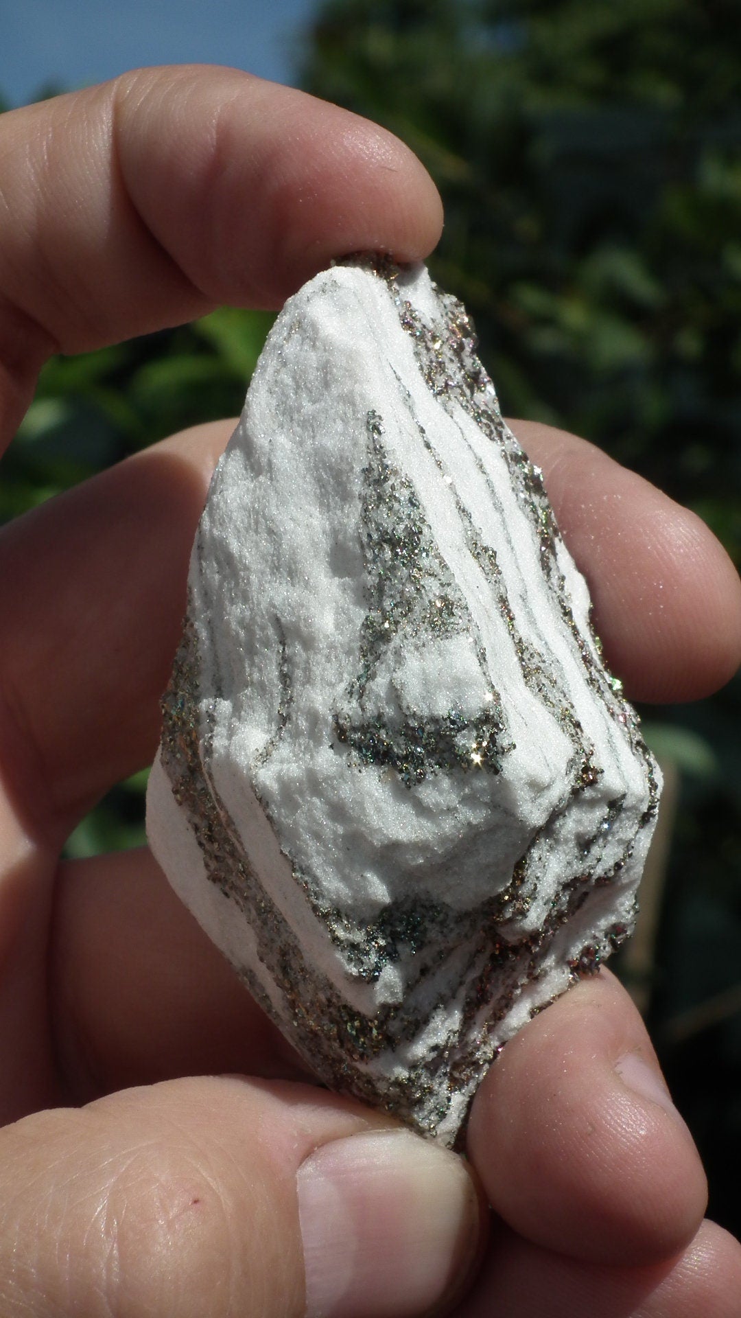 Pyrite in Snow Dolomite