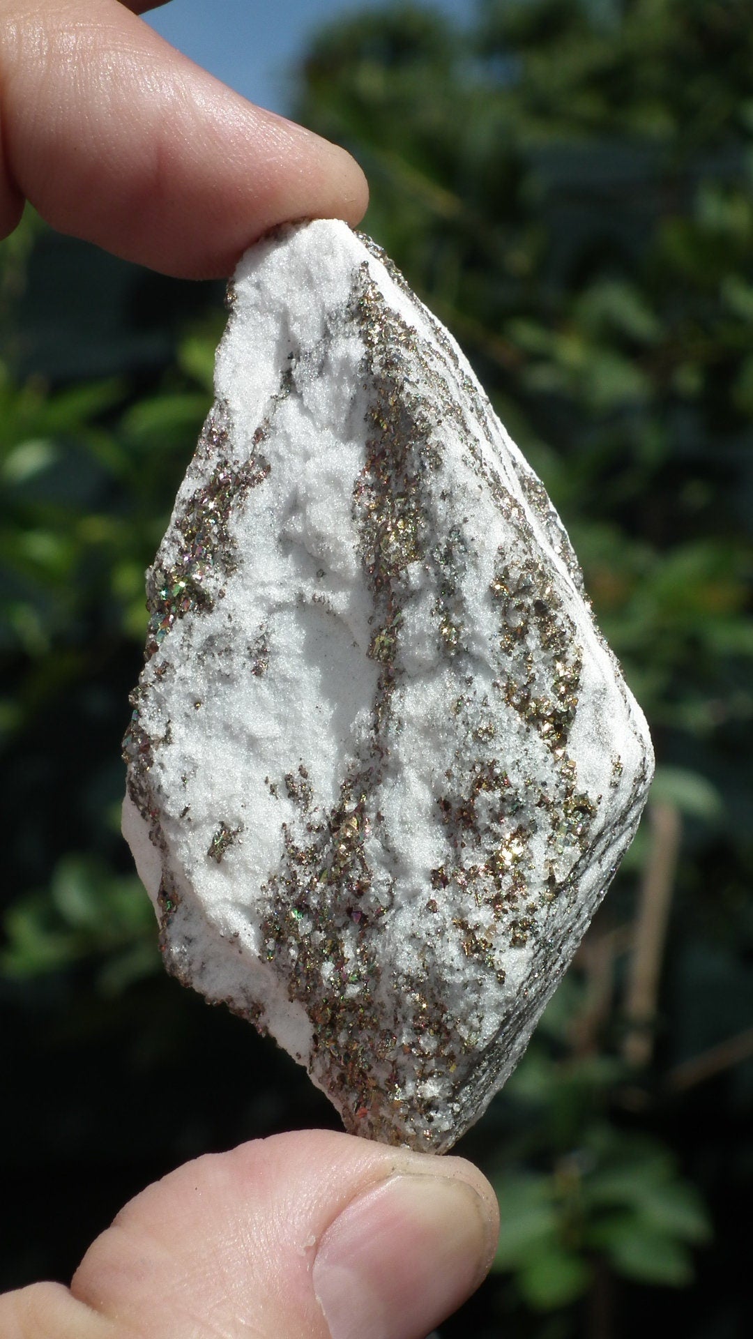 Pyrite in Snow Dolomite