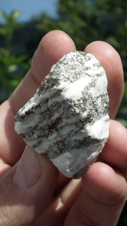 Pyrite in Snow Dolomite