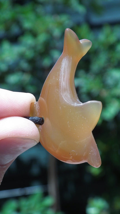 Carnelian dolphin necklace