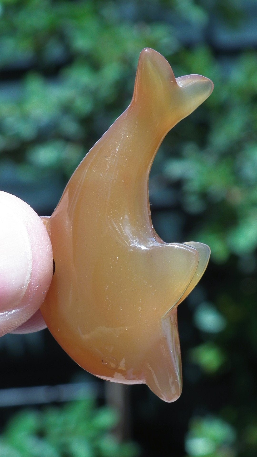 Carnelian dolphin necklace