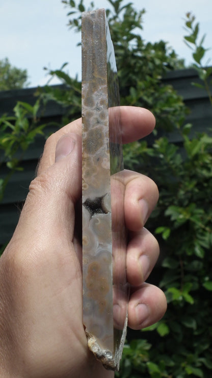 Ocean jasper Slab