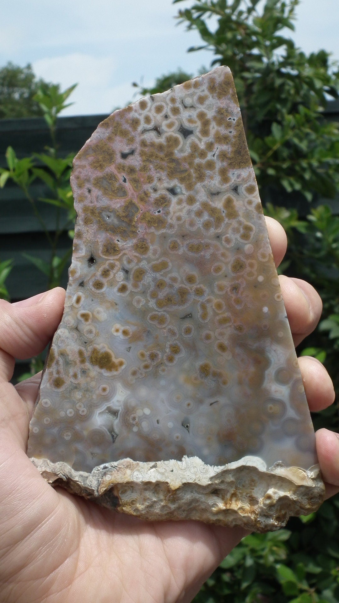 Ocean jasper Slab