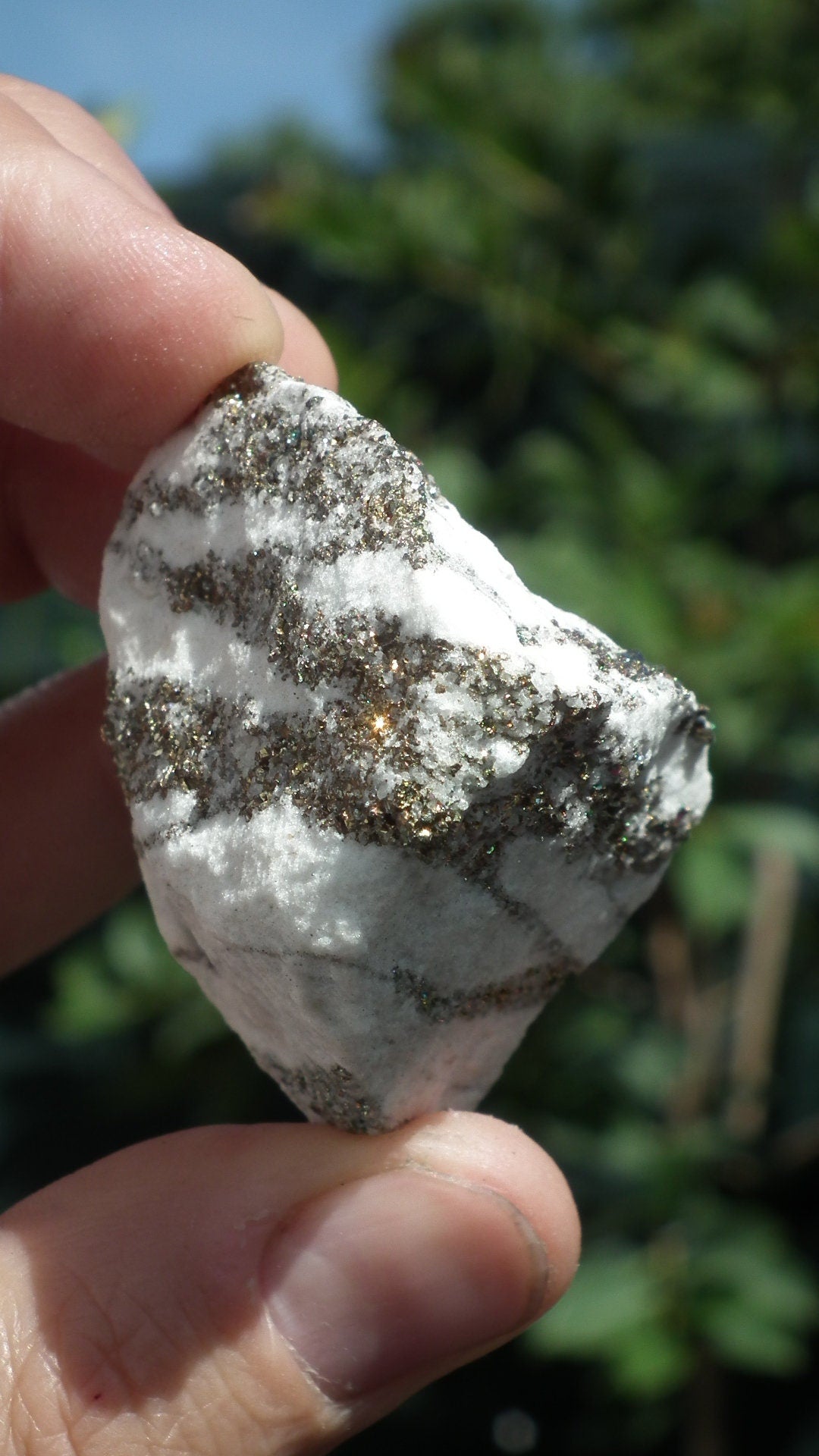 Pyrite in Snow Dolomite