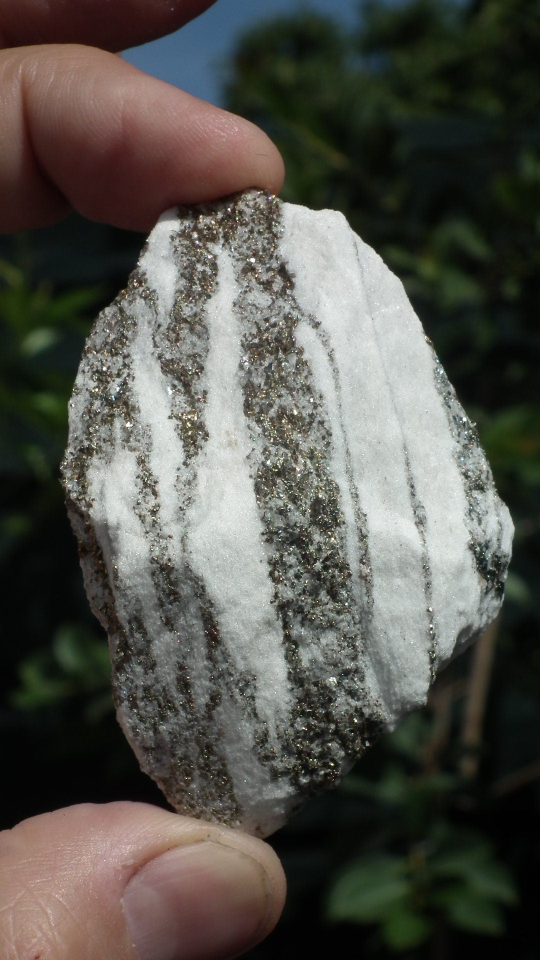 Pyrite in Snow Dolomite