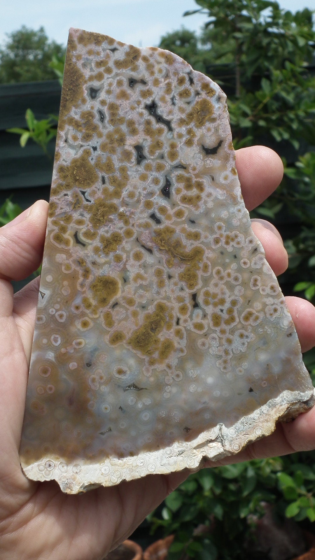 Ocean jasper Slab