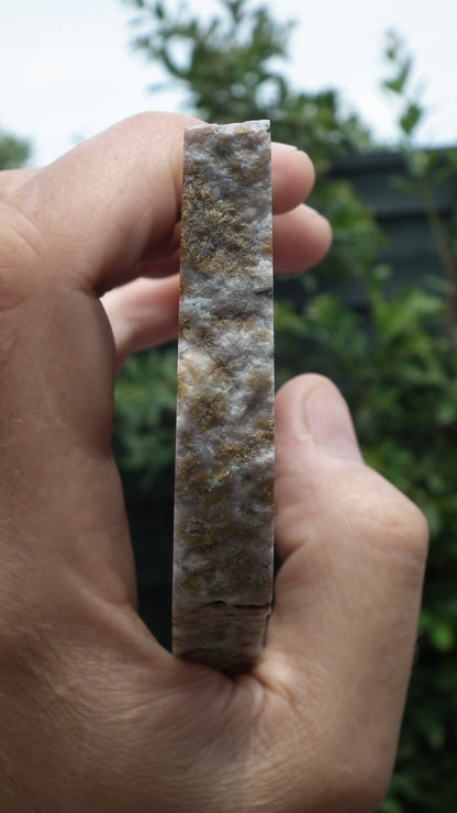 Ocean jasper Slab