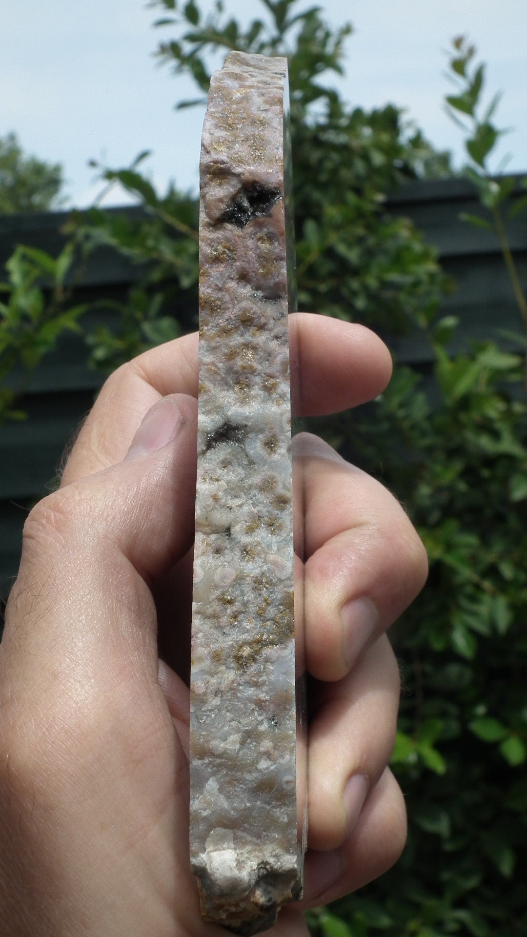 Ocean jasper Slab