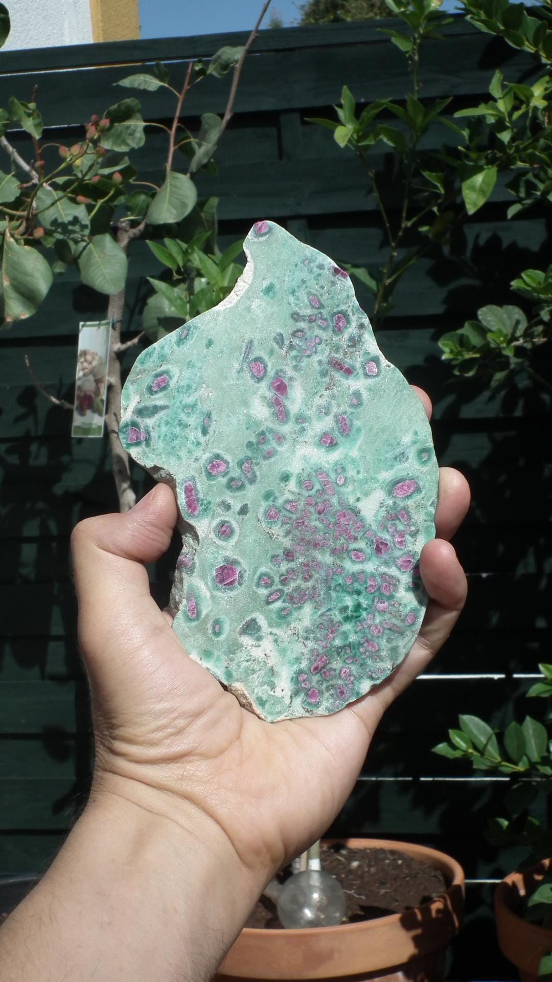 Ruby in Fuchsite with phrenite freeform