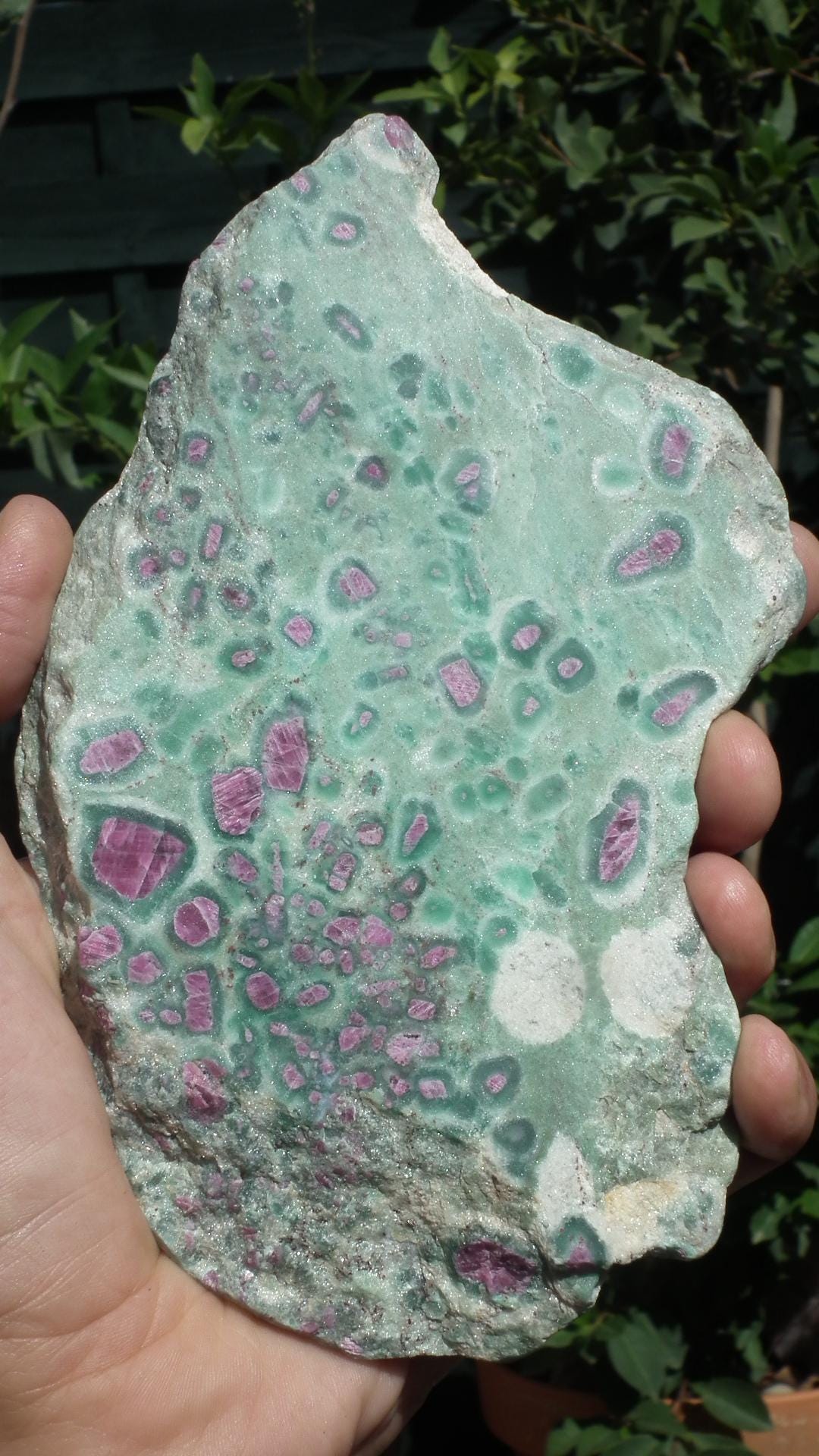 Ruby in Fuchsite with phrenite freeform