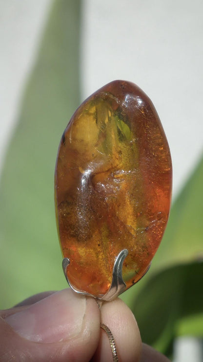 Baltic amber pendant