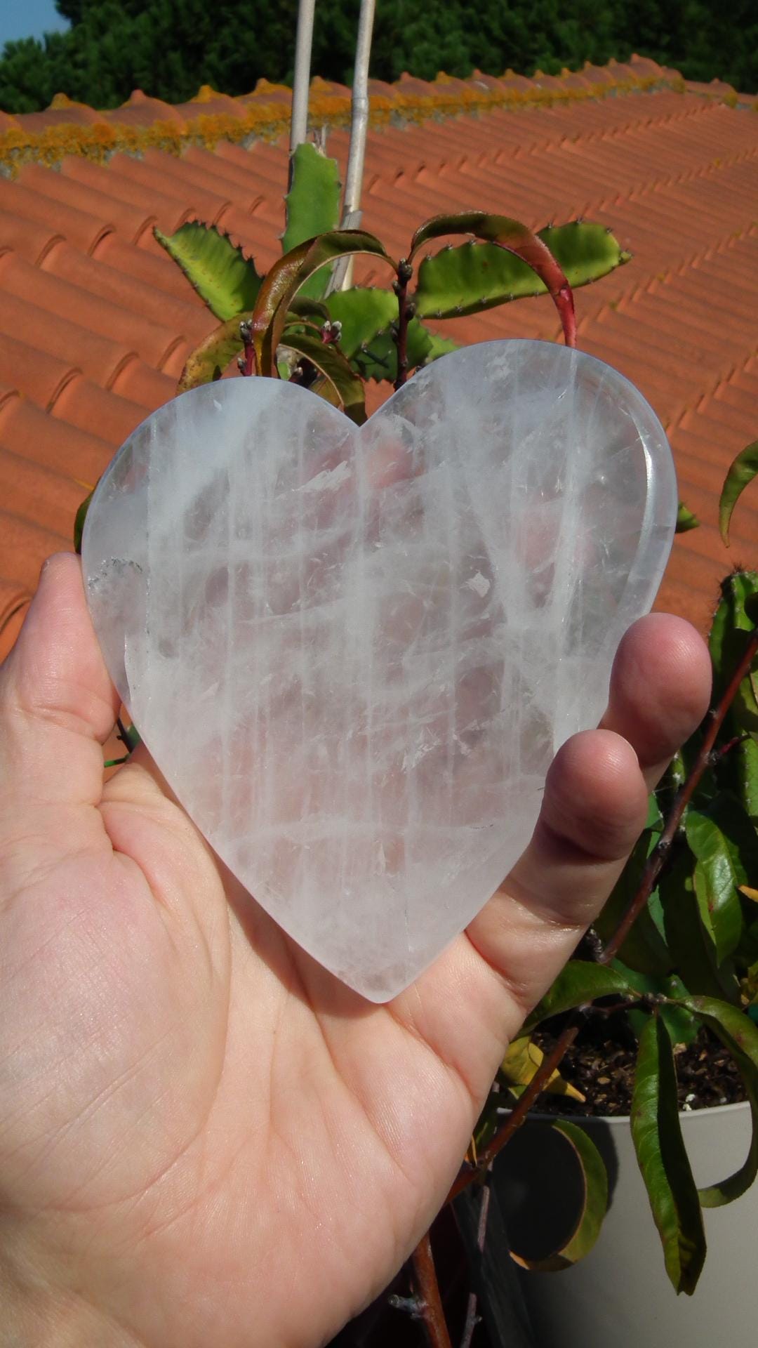 Crystal heart