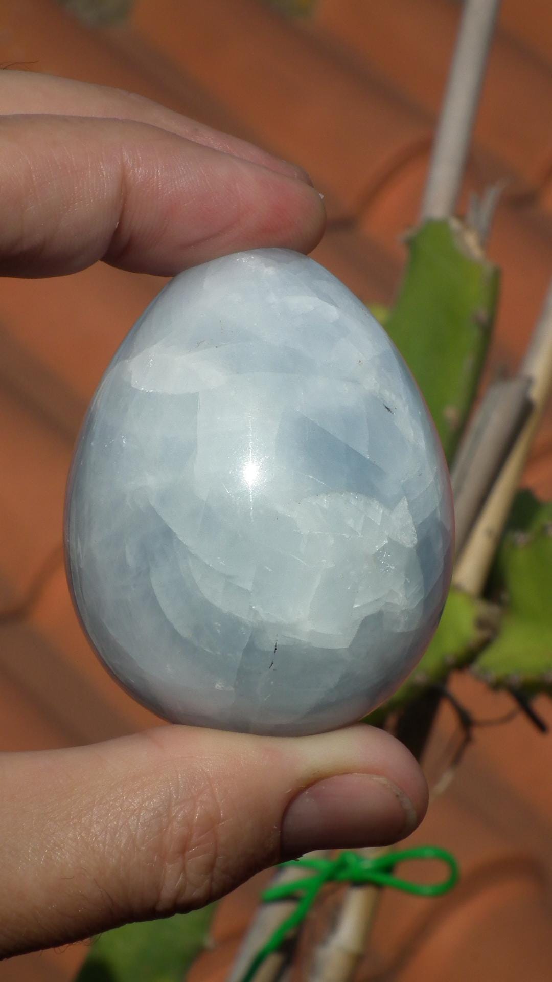 blue calcite egg // crystal egg