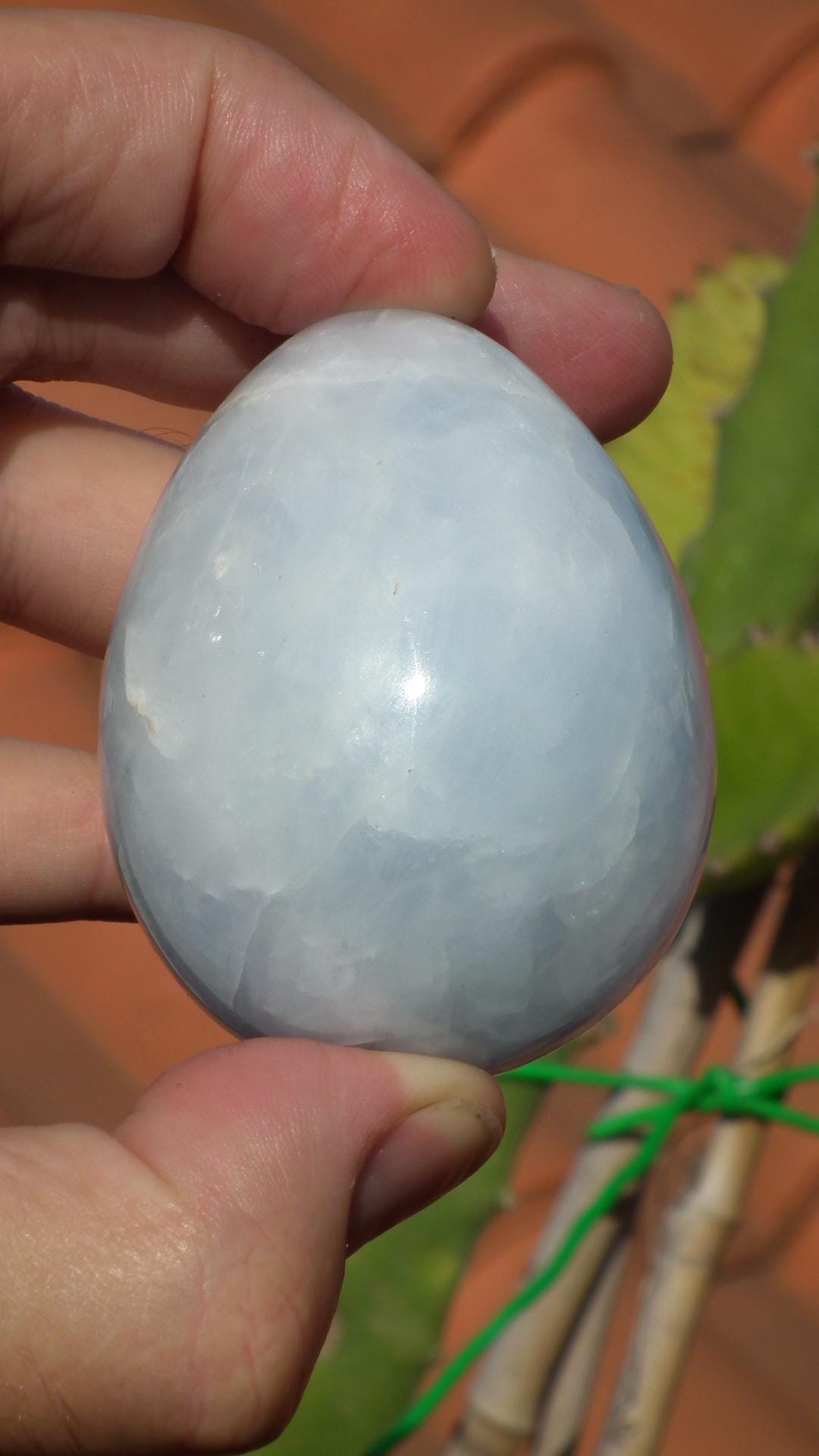 blue calcite egg // crystal egg