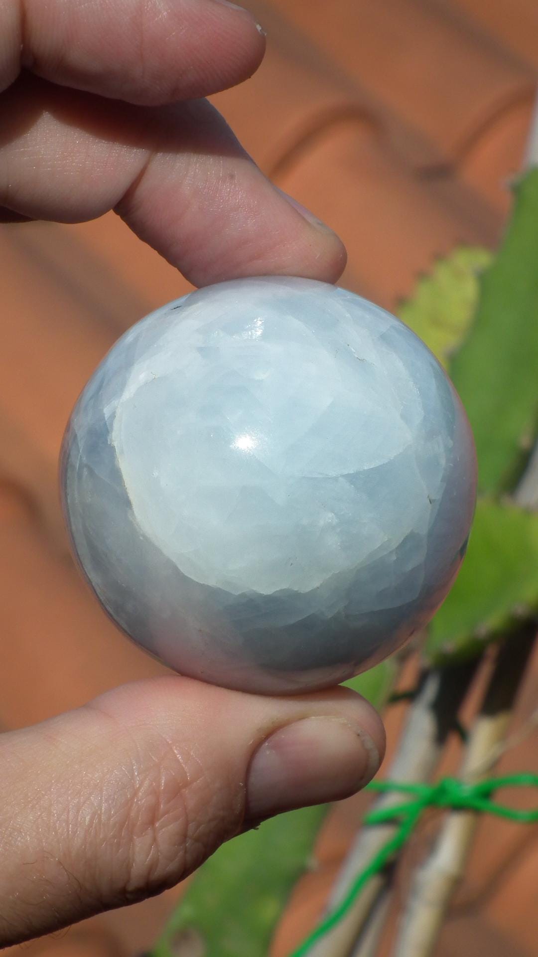 blue calcite egg // crystal egg