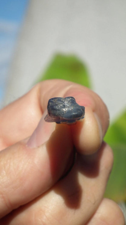 blue kyanite necklace / Polished Blue Kyanite