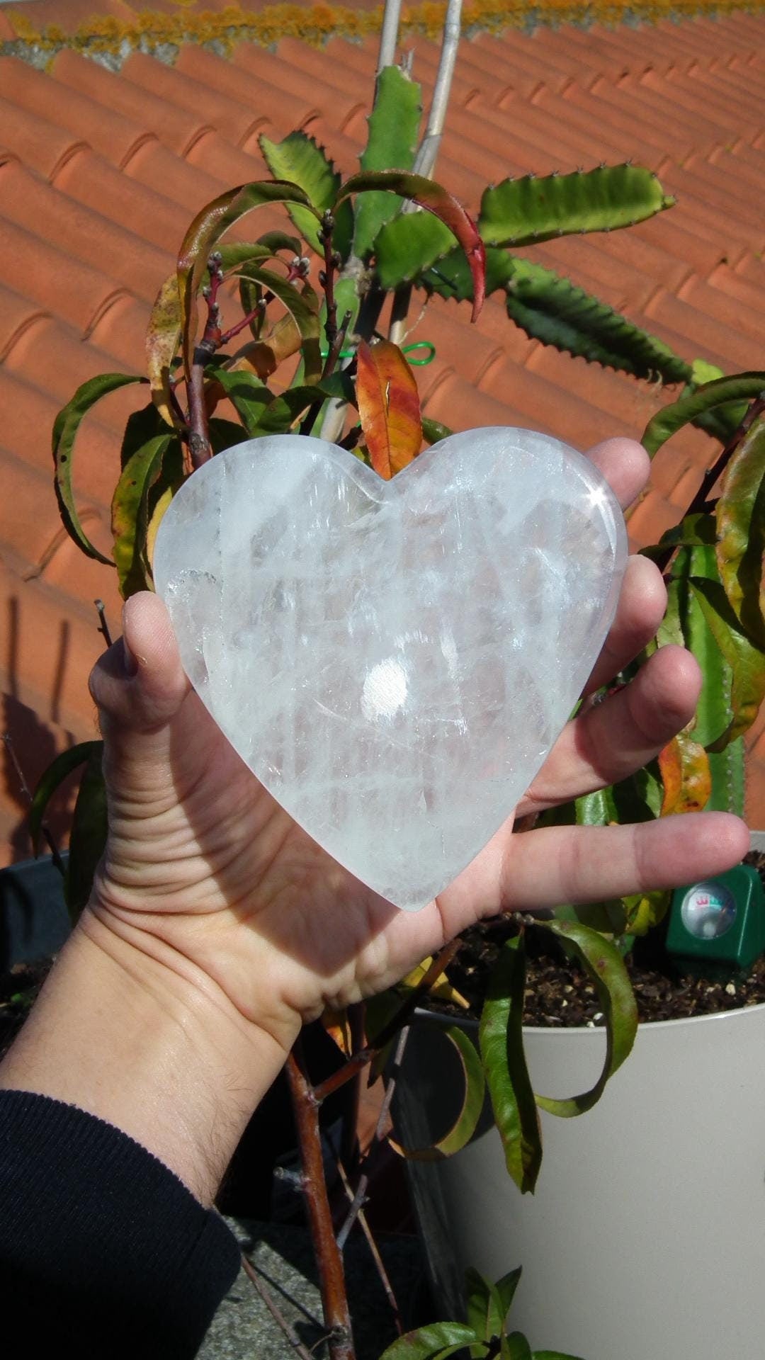 Crystal heart