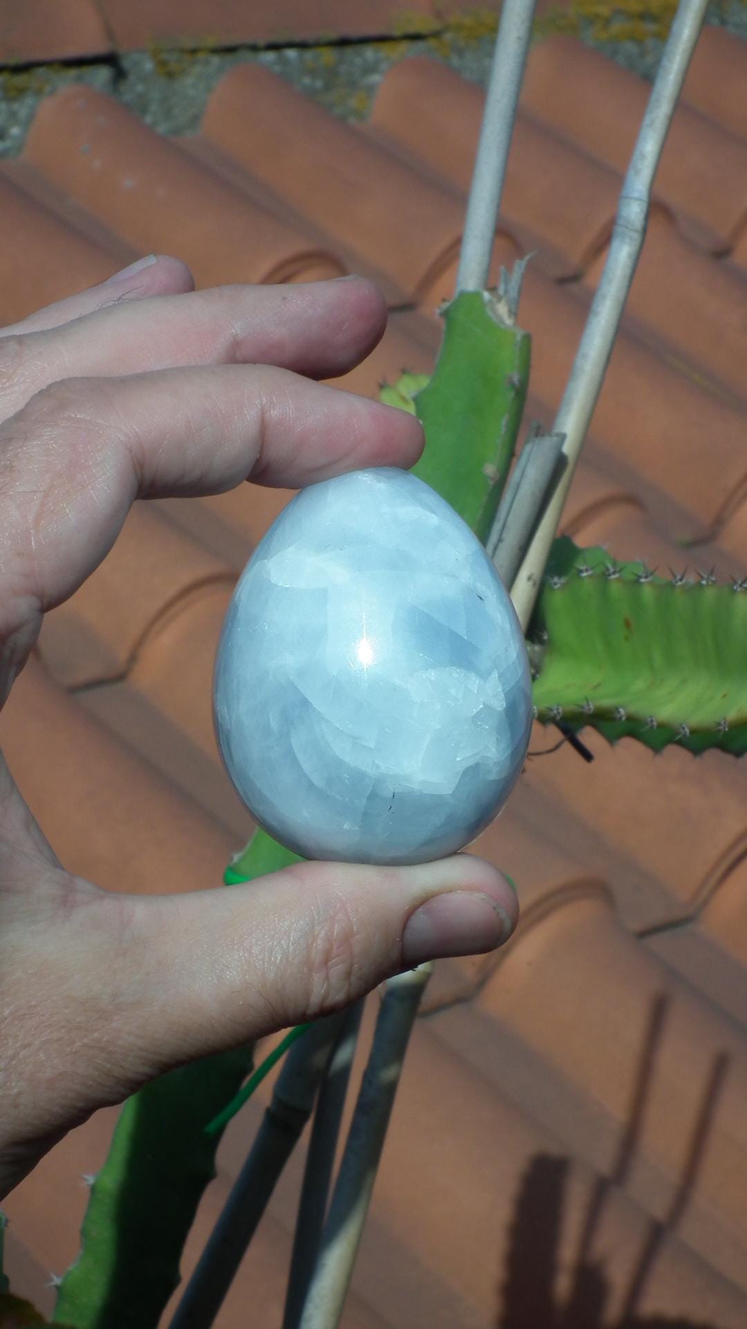 blue calcite egg // crystal egg