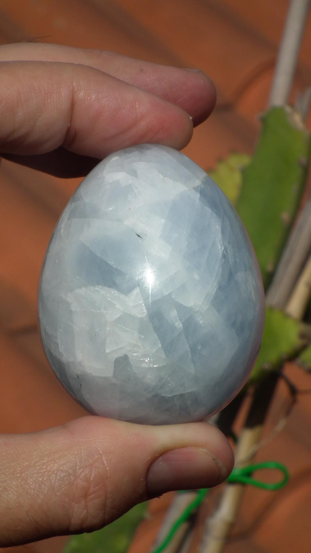 blue calcite egg // crystal egg