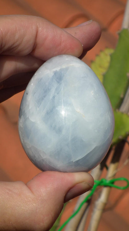 blue calcite egg // crystal egg