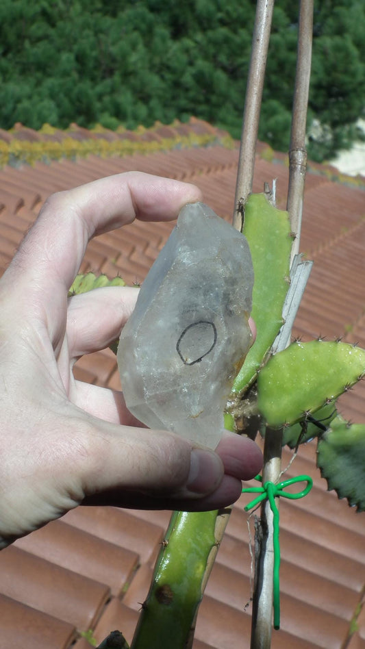 Double terminated enhydro quartz