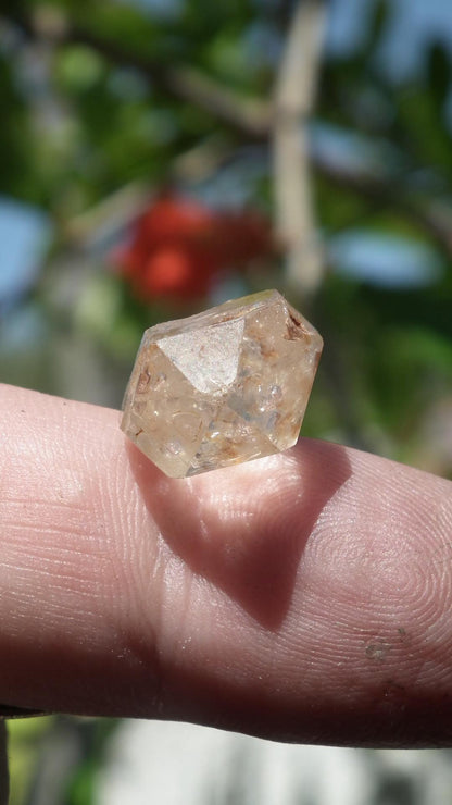 Uv reactive crystal pendant // Petroleum quartz // Terminated quartz