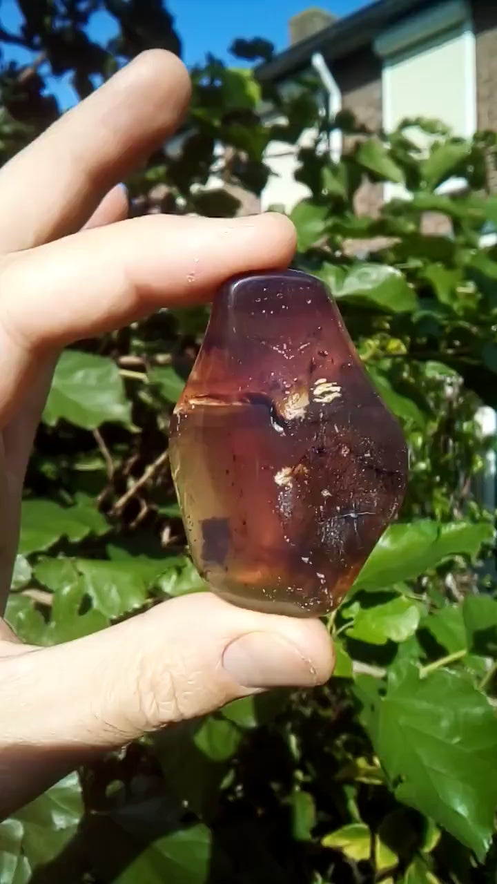 Blue sumatra Amber / Bernstein palmpiece / freeform