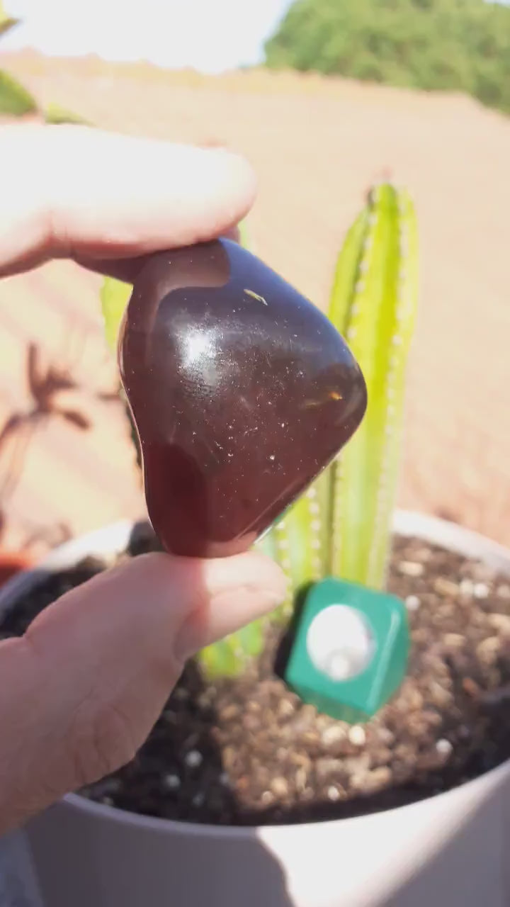 Sumatra amber / Bernstein palmpiece