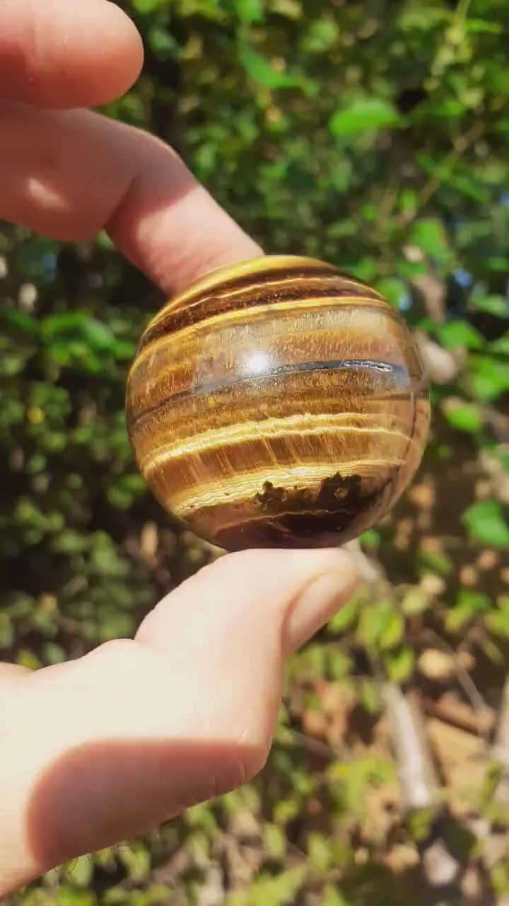 Tiger eye sphere // Tiger eye crystal //49mm Tiger eye sphere