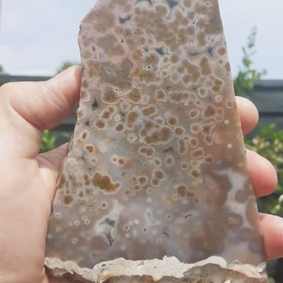 Ocean jasper Slab