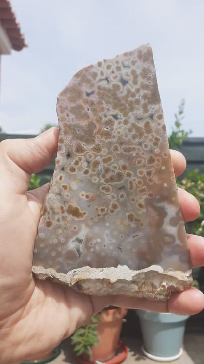 Ocean jasper Slab