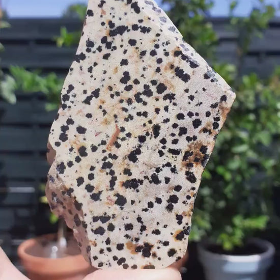 Dalmatian jasper Slab