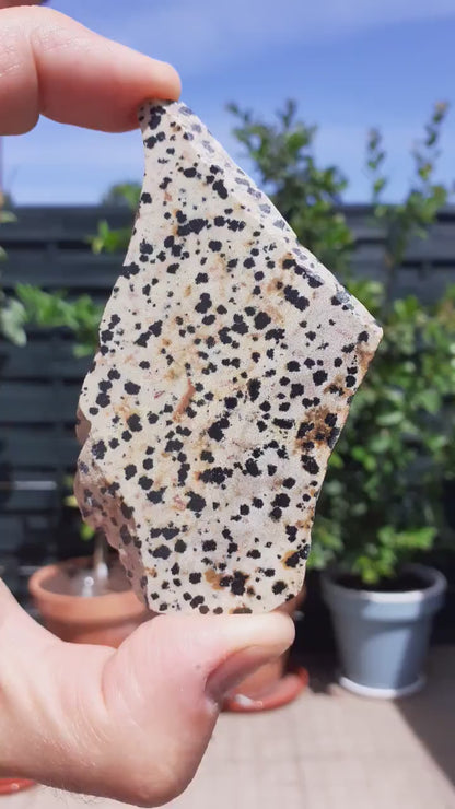 Dalmatian jasper Slab