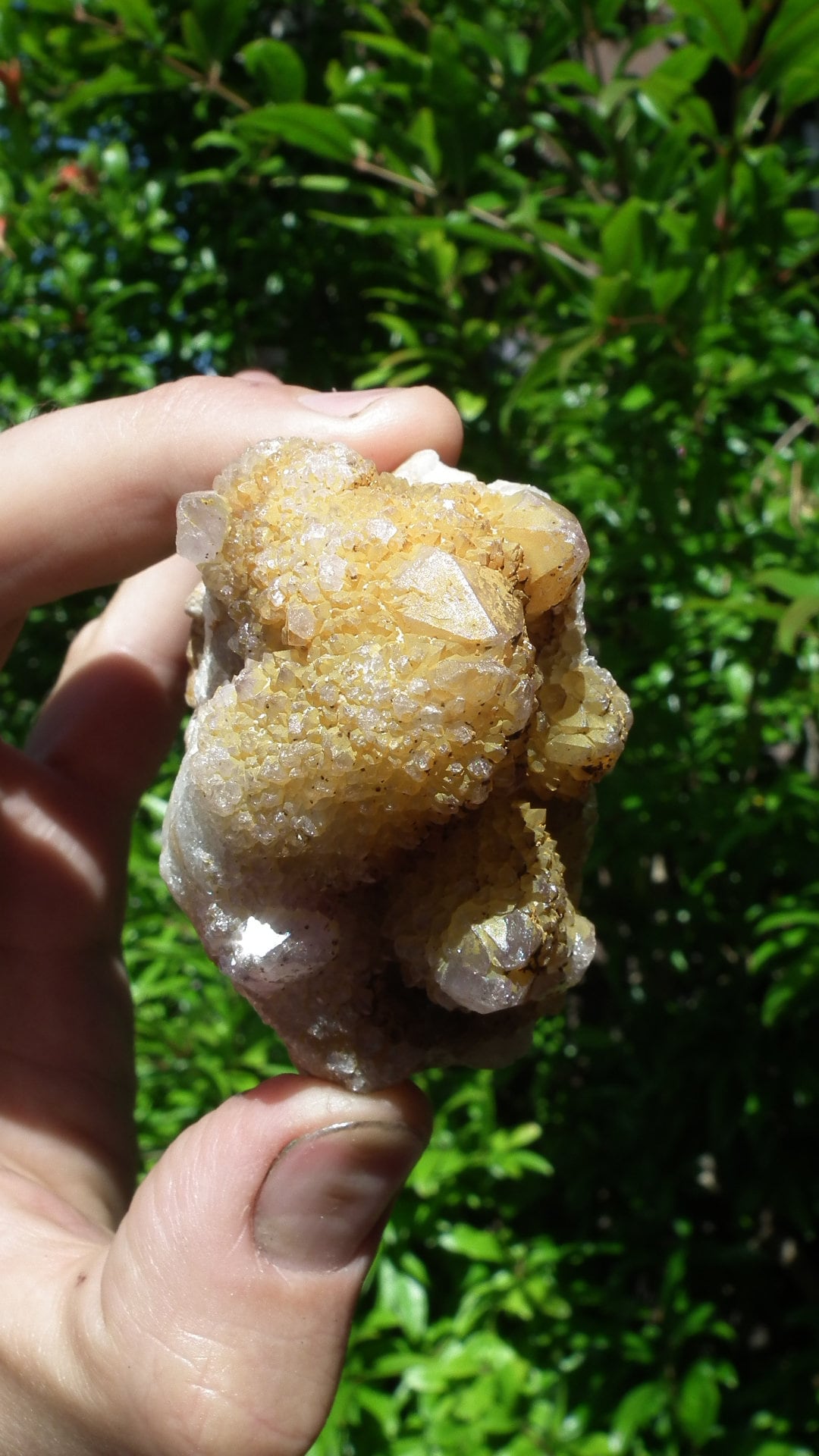 Spirit quartz / Cactus quarts, Ametrine, Limonite