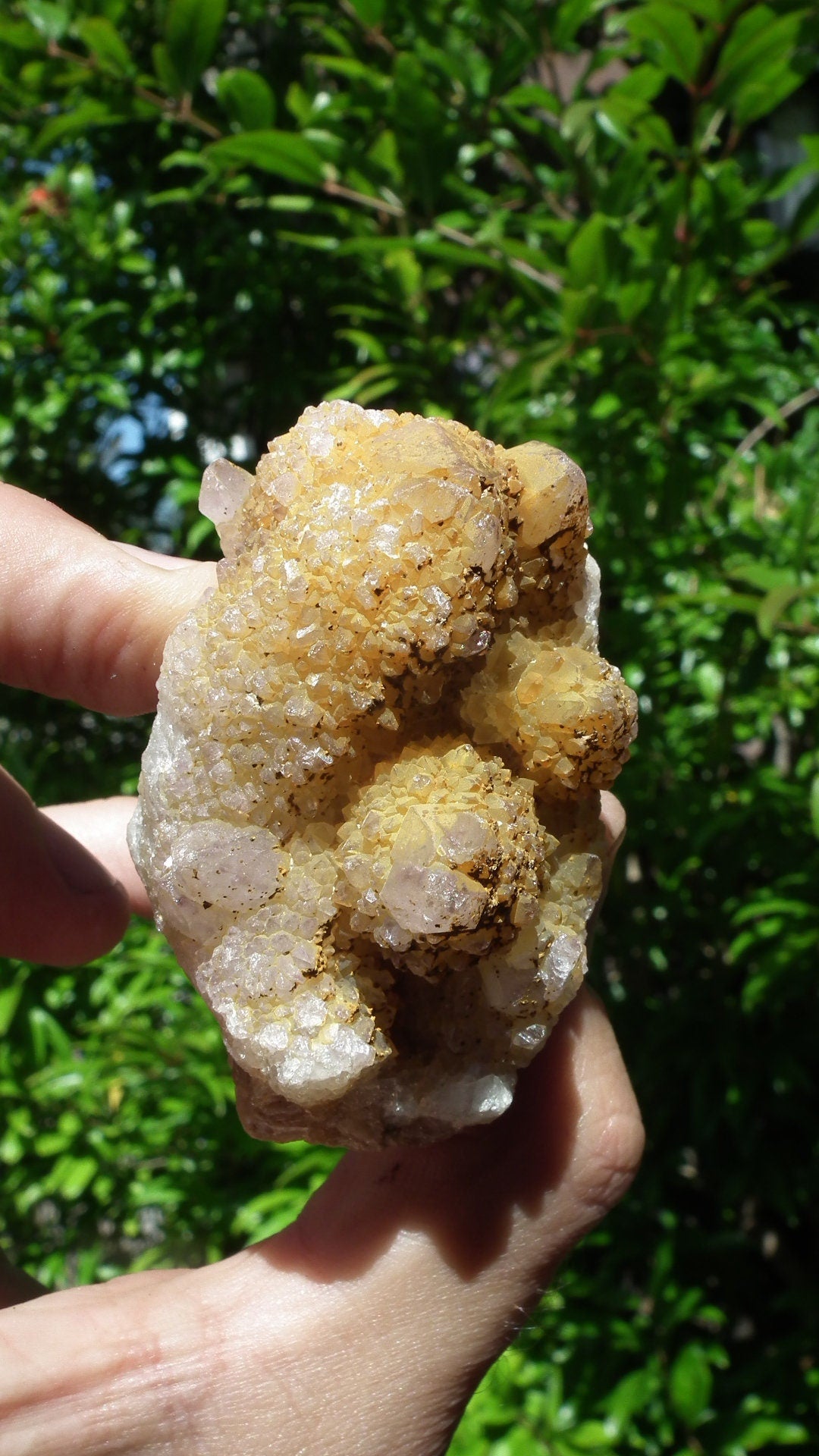 Spirit quartz / Cactus quarts, Ametrine, Limonite