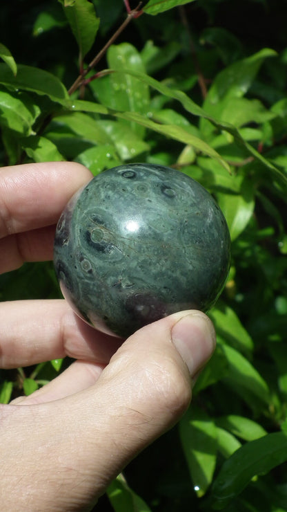 51mm Kambaba Jasper sphere