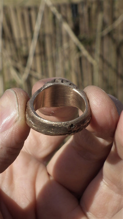 Black Onyx ring / Bronze Onyx ring