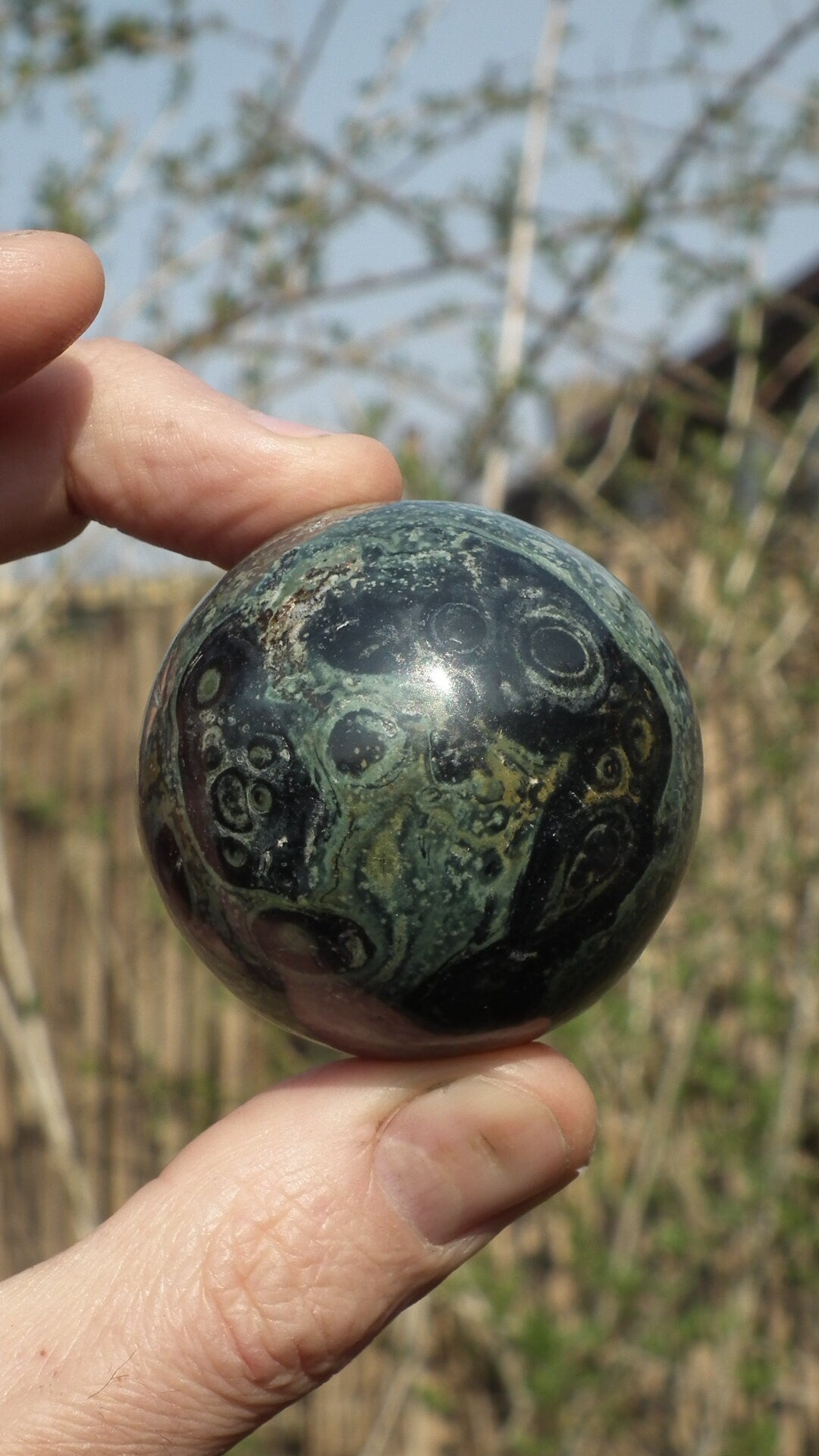 50mm Kambaba Jasper sphere