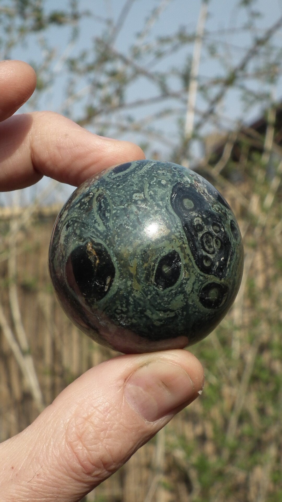 50mm Kambaba Jasper sphere