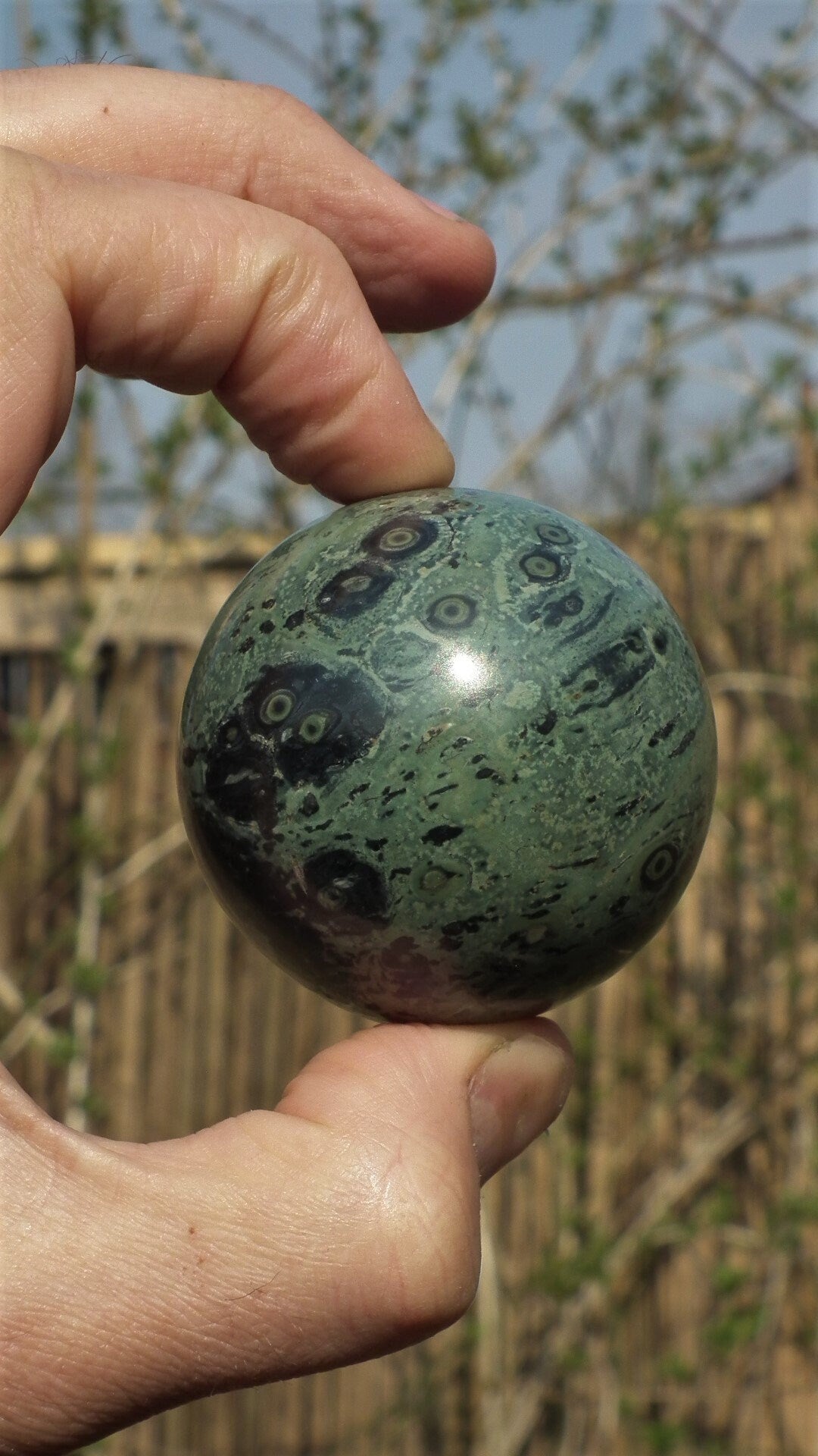 55mm Kambaba Jasper sphere