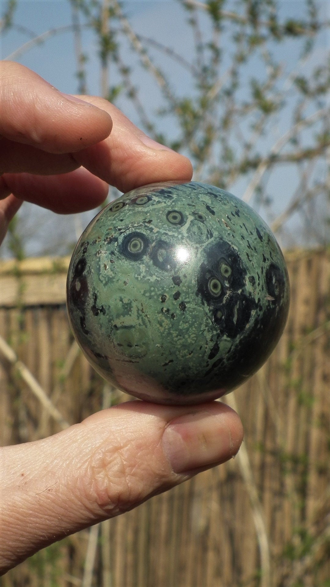 55mm Kambaba Jasper sphere