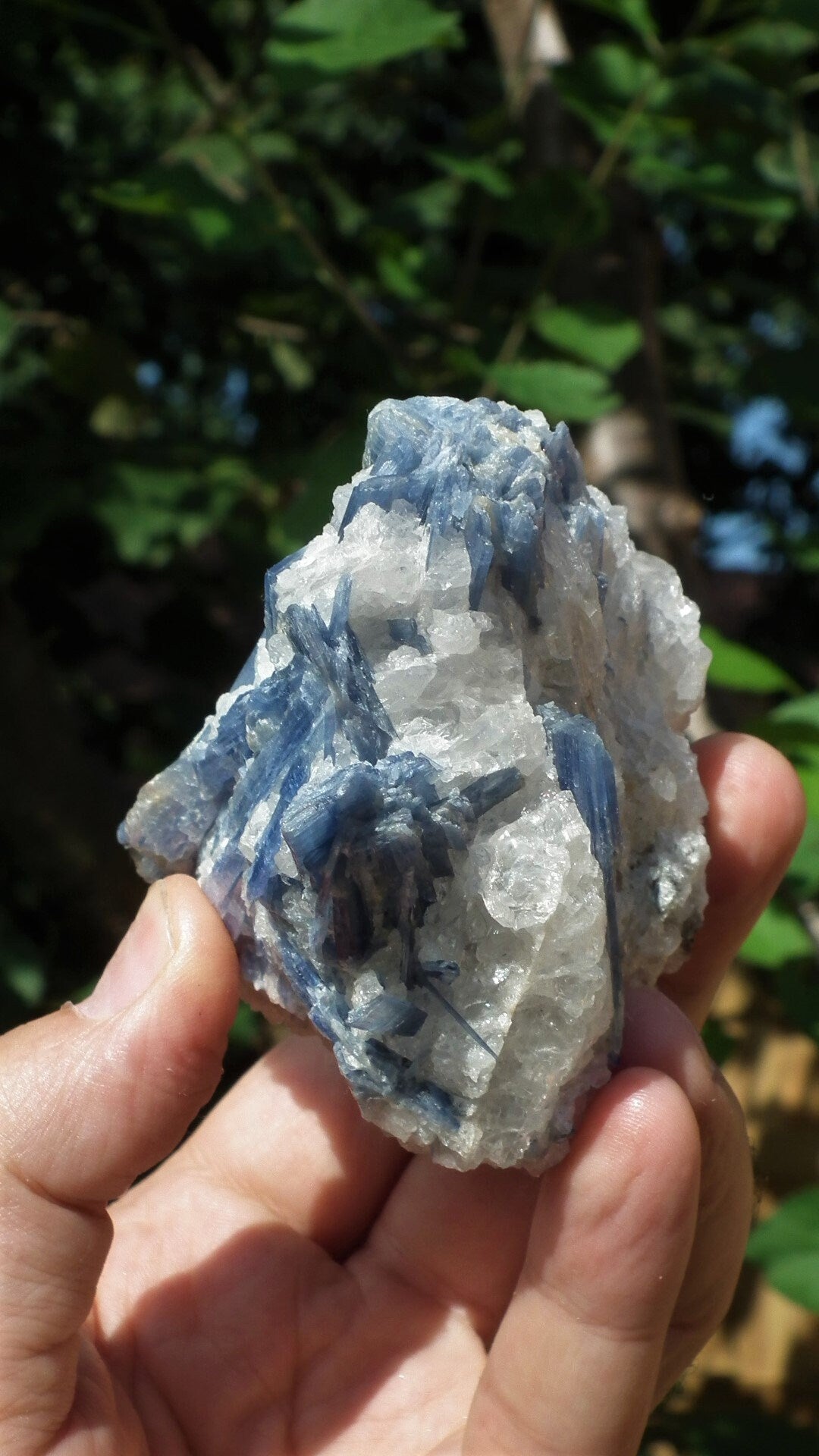 raw blue kyanite / large blue kyanite