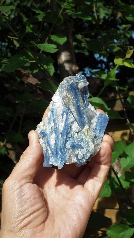 raw blue kyanite / large blue kyanite